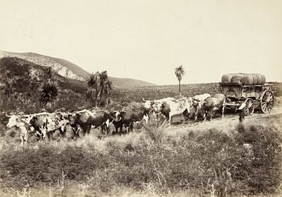 Agriculture in New Zealand