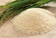 High price, poor quality of rice for exports: Pakistan loses Chinese market to Vietnam