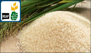 Rice exporters upset about ambigous policy