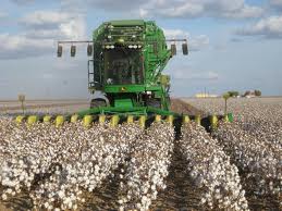 Local industry to get sufficient cotton
