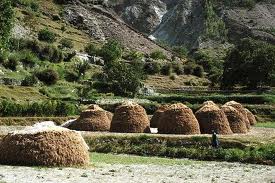 What ails Punjab’s agriculture