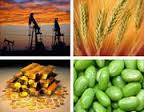 Abu Dhabi forum to focus on global agriculture innovations