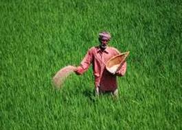 Fertilizers use by crop in Pakistan