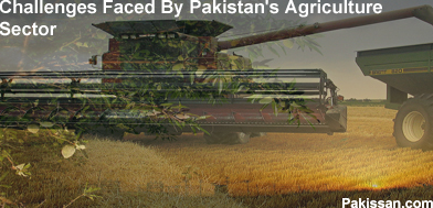 Challenges Faced By Pakistan’s Agriculture Sector