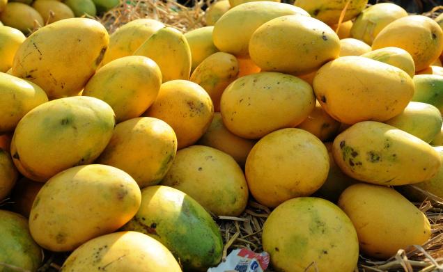 Taste of Pakistani mango’ held in Seoul