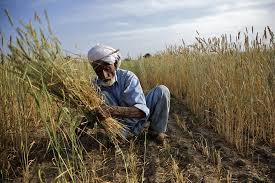 Securing land rights for the world’s  poorest people