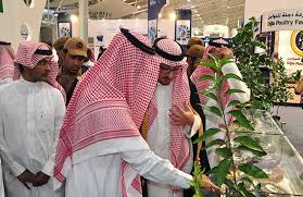 Saudi Arabia’s food and agriculture sectors maintaining annual 18.5% growth