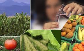 Food Security & Agriculture