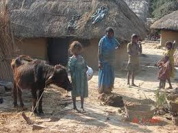 Higher food prices will hurt the poor