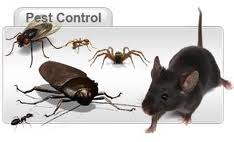 Total Pest Control Services