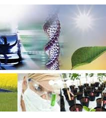 Experts say latest tech is the future of agriculture in Pakistan