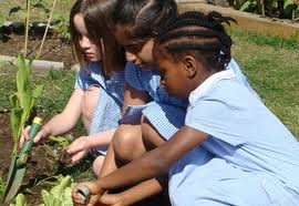 Capital Growth food growing training