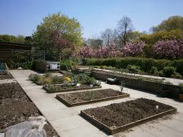 Events in The Regent’s Park Allotment Garden