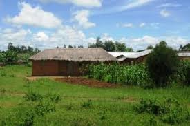 The Political Economy of Policies for Smallholder Agriculture