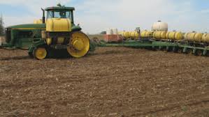 GROUNDNUT PRODUCTION IN PAKISTAN