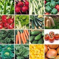 Profitability of vegetable cultivation