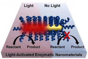 Rice Uses Light to Remotely Trigger Biochemical Reactions