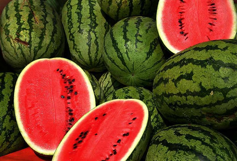 Growing Watermelon in the Home Garden