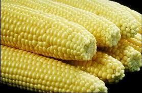 Aflatoxins in Corn