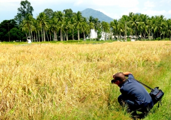 IRRI-ADB Project holds video production workshop for outscaling postharvest technologies