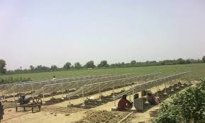 Punjab govt, Canadian firm ink MoU for biogas project