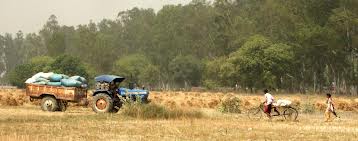 Agri sector suffered Rs 219b loss in 2012