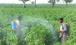 Govt moves against toxic pesticides