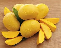 Absence of treatment plants hits Punjab mango exports