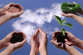 Agriculture in a World Economy