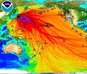 Fukushima Radiation Your Days of Eating Pacific Ocean Fish Are Over, Or Worse….