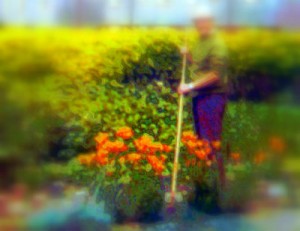Gardening Can Help Beat Depression