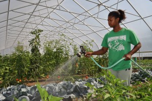 How Gardening Will Phase Out The Welfare State