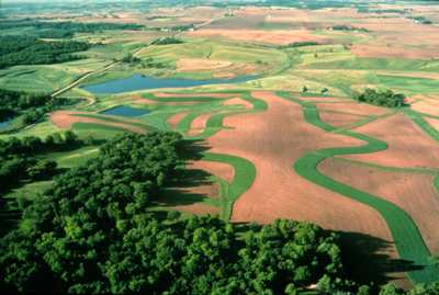 Indian Farmers Growing Record Yields With No GMO Crops or Pesticides