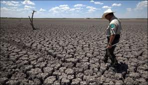 Namibia: Drought Severe On Agriculture