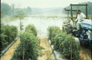 Study Finds Link Between Herbicide Exposure and Depression