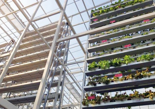 The World’s First Commercial Vertical Farm Opens in Singapore