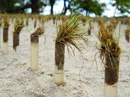 Towards a new “Agro-Culture”