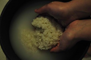 Turning Your Rice Wash into Fertilizer – EMRW