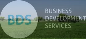 What are Business Development Services (BDS)