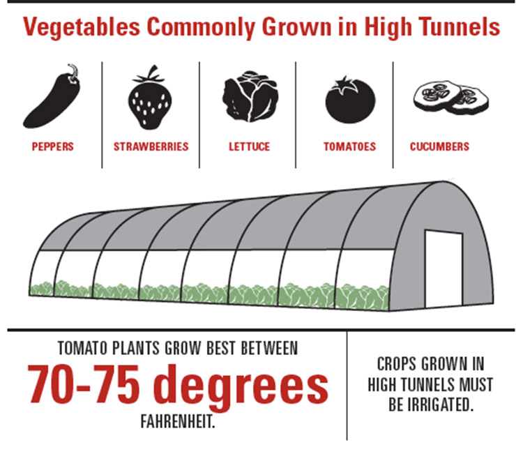 High Tunnels Farming Lengthen Season for Growers