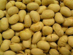 BIRTH CONTROL: Genetically Modified Soy Linked to Sterility