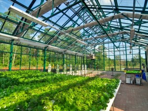 Detroit Hospital Takes a REAL Step toward Healing, Builds First Organic Hospital Greenhouse