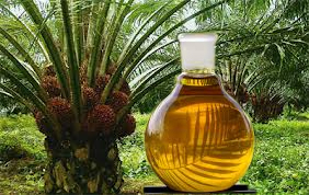 Pakistan important market for Malaysian palm oil