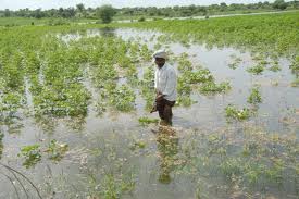 Peasants demand compensation for crops damaged in floods