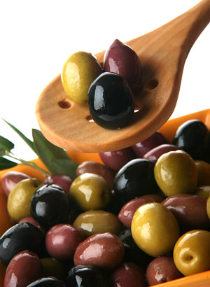 Scientists to concentrate on cultivation of olive