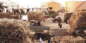 Sugar mills to get incentives hitherto available to IPPs: draft cogeneration policy readied 