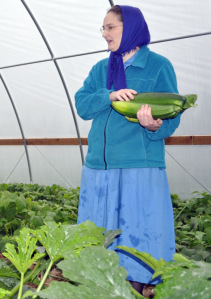 Tunnel to growth — High tunnels produce bountiful results