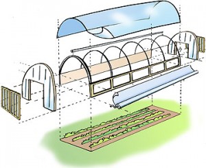 Agribusiness Tunnel Farmings And Equipments