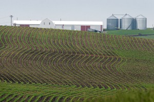 Factory Farms :Taxpayers Pay, Politicians Take, Agribusiness Profits