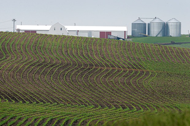 Factory Farms :Taxpayers Pay, Politicians Take, Agribusiness Profits